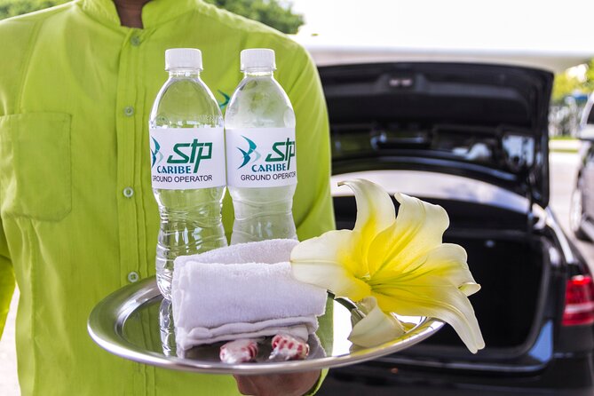 Transfer in Luxury Mercedes Benz Minivan - Choosing the right destination zone