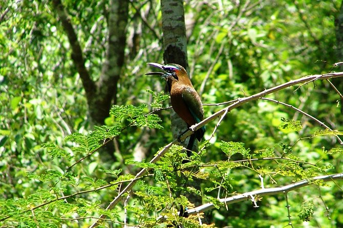 Tulum Archaeological Site & Sian Ka'an Muyil Tour from Tulum - Timing, transport, and the real cost