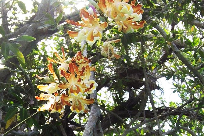 Tulum Archaeological Site & Sian Ka'an Muyil Tour from Tulum - What to pack for the water and heat