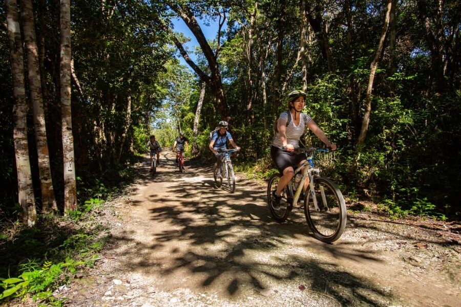 Tulum: Cenote Trail Bike Tour - Timing, fitness, and group size