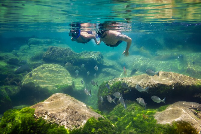 Tulum Guided Tour, Magical Cenote, Lagoon Snorkeling and Beachside Lunch - Yal Ku Lagoon: easy snorkeling with a freshwater twist