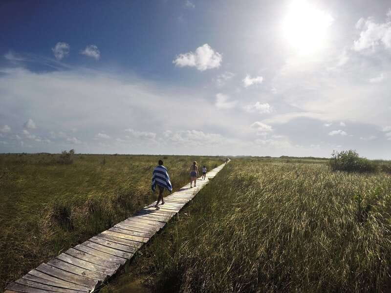 Tulum: Mayan Ruins & Sian Kaan Tour with Boat Ride and Lunch - The honest drawbacks
