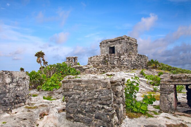 Tulum Ruins and Cenote Guided Tour, from Cancun - Is $49 a good deal?