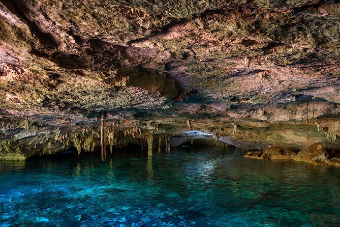 Tulum Ruins and Cenote Guided Tour, from Cancun - Who should book this day trip?