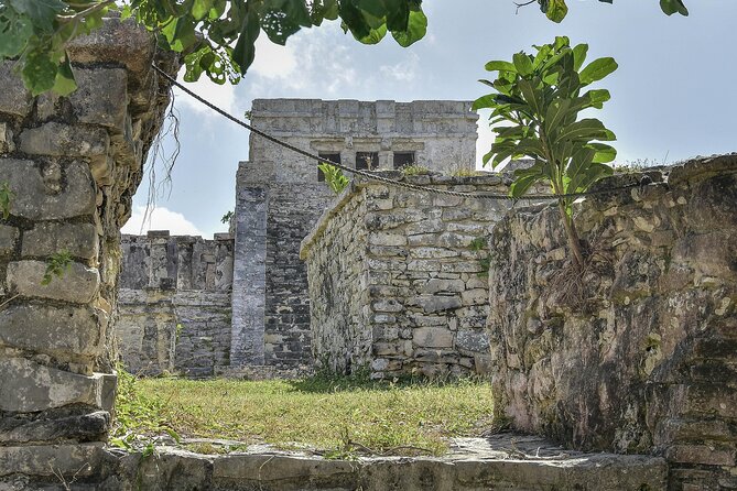 Tulum Ruins, Turtles in Akumal and Cenote tour - Akumal Bay and the turtle swim