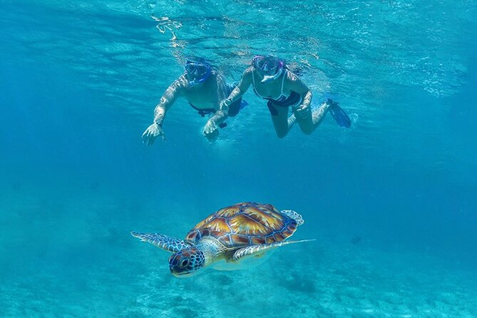 Tulum, Snorkeling with Sea Turtles, Cenote and Beachside Lunch - Tulum ruins: dramatic views and a hot two hours