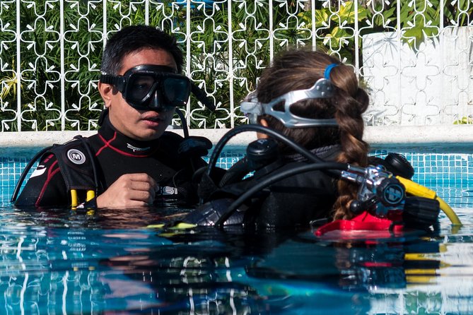 Two reef discovery dives with professional instructor (no experience necessary) - A beginner-friendly route from Playa del Carmen to the reef