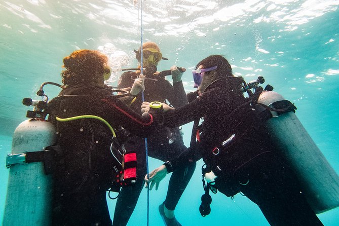 Two reef discovery dives with professional instructor (no experience necessary) - The pool session is more important than the reef