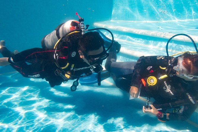 Two reef discovery dives with professional instructor (no experience necessary) - Who should book this Playa del Carmen outing