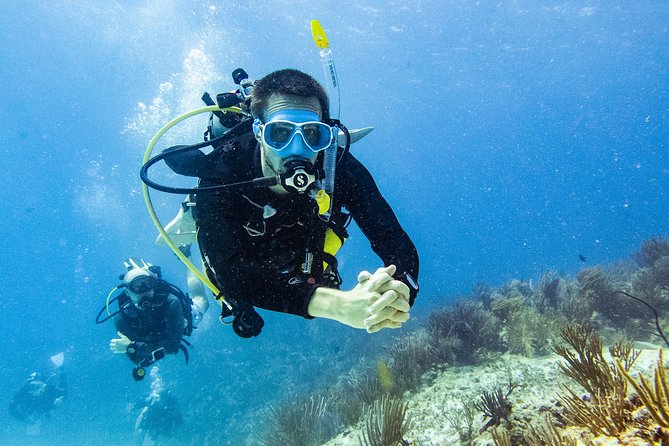 Two reef discovery dives with professional instructor (no experience necessary) - What the small group limit means for you