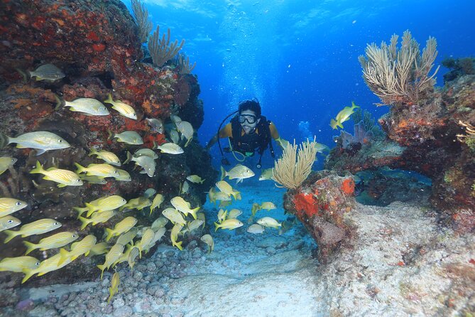 Two Tanks Scuba Diving for Beginners in Cancun - The boat ride to two different underwater sites