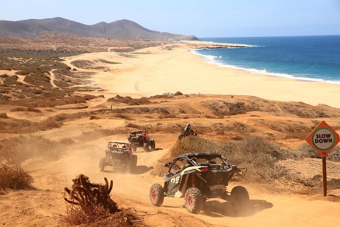 UTV 4X4 Cabo Adventure, Beach Ride & Tequila Tasting - The real price of a $99.74 adventure