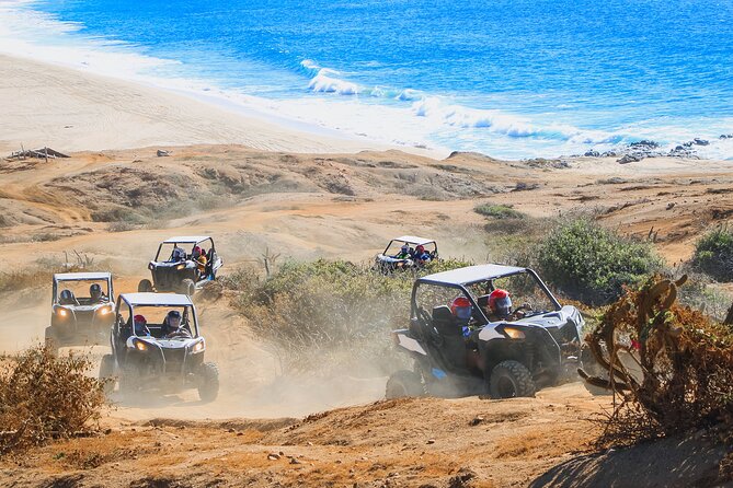 UTV Adventure with Free Camel Ride and Sky Bikes - Camel riding beside the beach