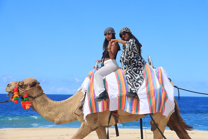 UTV Adventure with Free Camel Ride and Sky Bikes - Is $175 a fair price?