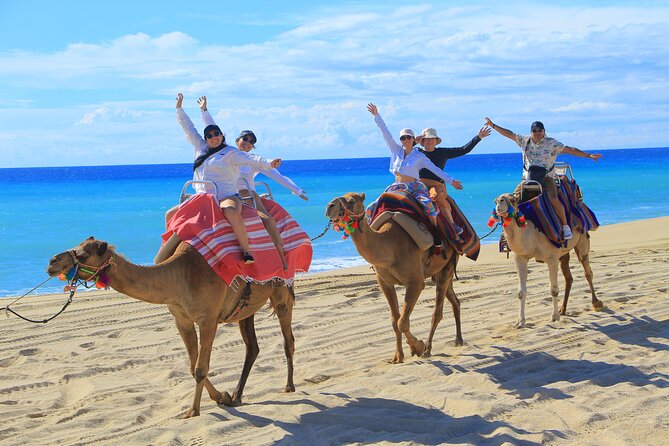 UTV Adventure with Free Camel Ride and Sky Bikes - Who will enjoy this tour most?