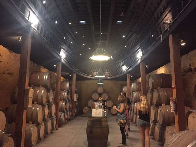 Valle de Guadalupe Wine Tasting Tour - Key points to know before you book