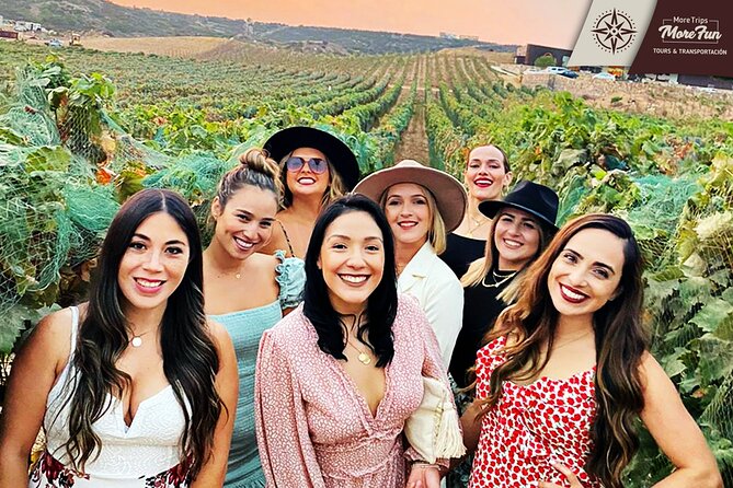 Valle de Guadalupe winery and brewery tours - What you will pay beyond the $450 fee