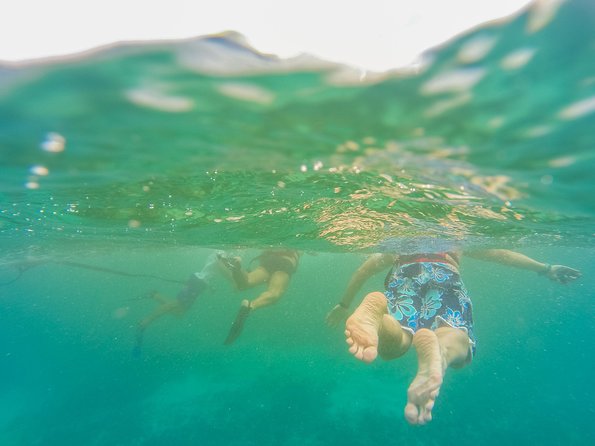 Viator Exclusive: Tulum Ruins, Reef Snorkeling, Cenote and Caves - The cenote and cave experience