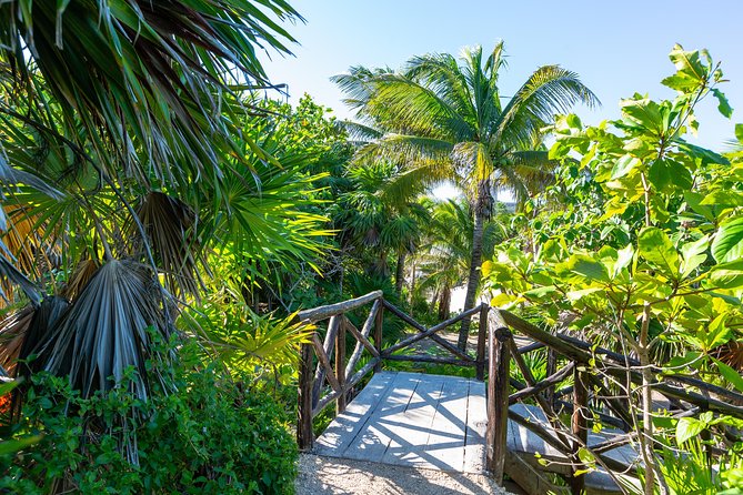 Viator Exclusive: Tulum Ruins, Reef Snorkeling, Cenote and Caves - Transport, group size, and the pace of the day