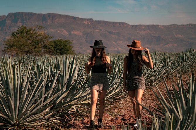 Vip Tequila Experience - A walk through the town of Tequila