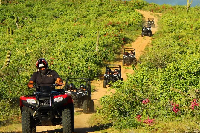 Viper Trail UTV Small-Group Experience in Cabo San Lucas - The 25 km route, from rough trails to the mini arch