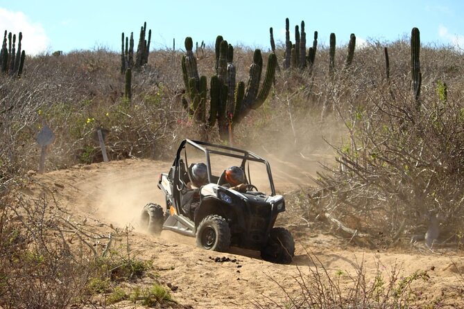 Viper Trail UTV Small-Group Experience in Cabo San Lucas - Who will enjoy this Baja off-road outing