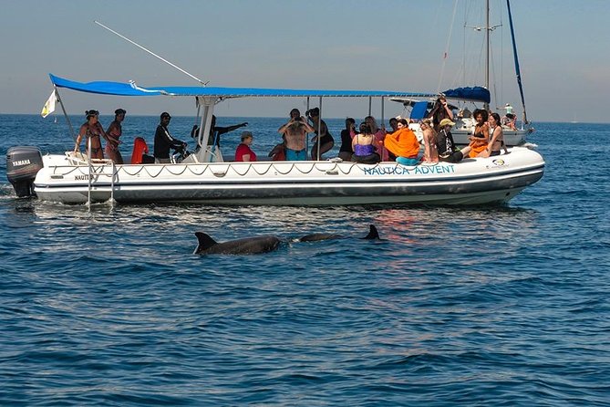 Whale and Dolphin Watching with a Biologist in Puerto Vallarta - Why this Puerto Vallarta whale tour feels different
