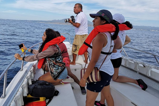 Whale Encounter Puerto Vallarta - Why the guide matters more than the boat