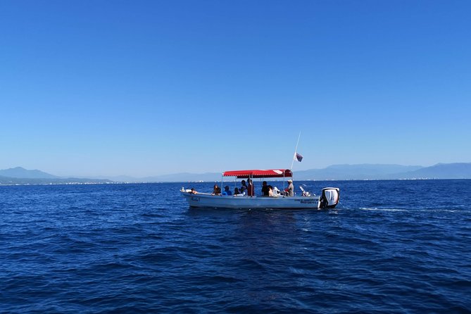 Whale Encounter Puerto Vallarta - Sightings can be excellent, but nature sets the schedule