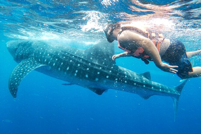 Whale Shark Adventure in Isla Mujeres and Cancun - Beach time, ceviche, and the return trip