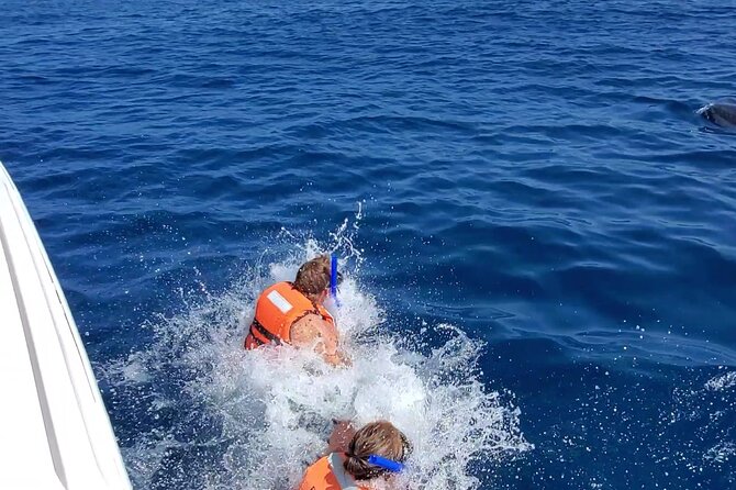Whale Shark Adventure in Isla Mujeres and Cancun - Is $155 a fair price?