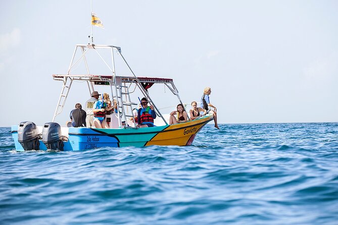 Whale Shark and Snorkeling Adventure from Isla Holbox - Santa Paula beach, ceviche, and a simple lunch
