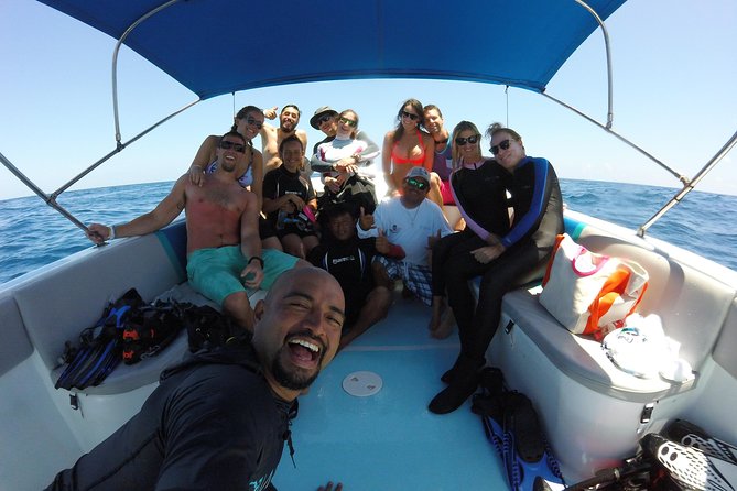Whale Shark Encounter Full-Day all inclusive Tour from Riviera Maya - Swimming with whale sharks near Punta Sam