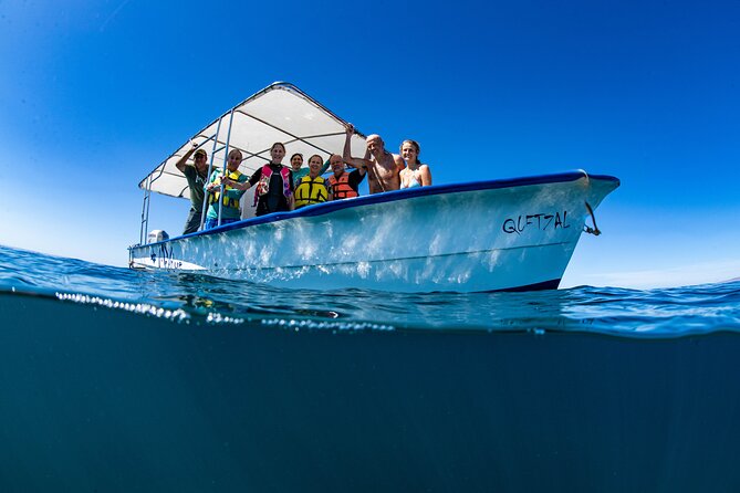 Whale Shark snorkeling tour in a reduced group with local marine biologist - Quick take: what makes this tour worth considering