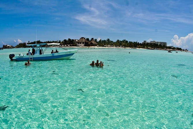 Whale Shark Tour from Cancun, Playa del Carmen, Tulum and Riviera Maya - What swimming with the whale sharks feels like