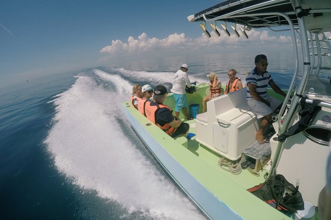 Whale Shark Tour from Cancun, Playa del Carmen, Tulum and Riviera Maya - The price and what you still pay