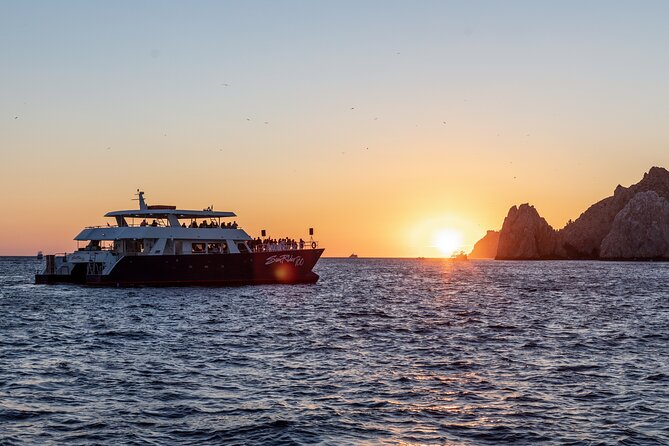 Whale Watching Dinner Cruise in Cabo San Lucas - Dinner, drinks, and the change from wildlife trip to party