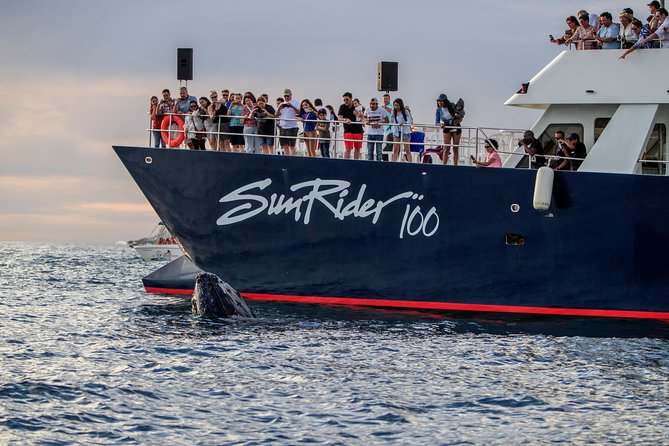 Whale Watching Dinner Cruise in Cabo San Lucas - The crew show and dancing