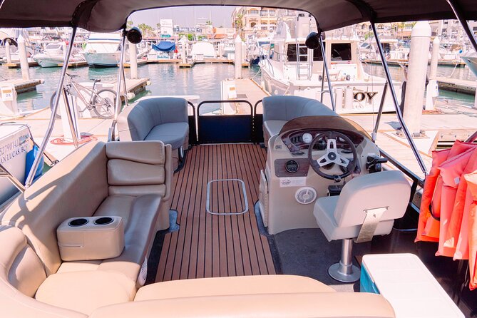 Whale Watching in Cabo San Lucas on board our Luxury Trimaran! - What the whale sightings may be like