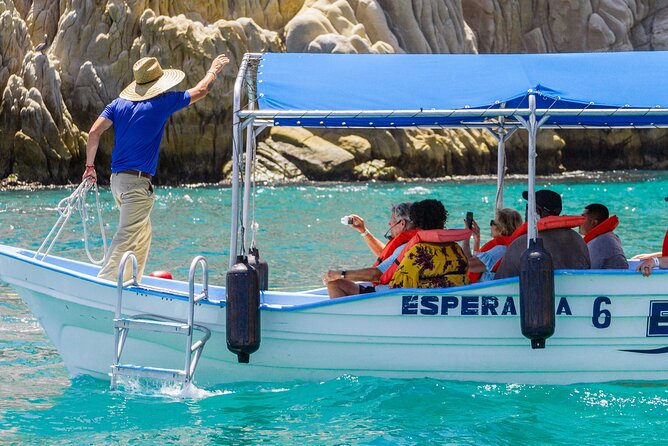 Whale Watching in Cabo San Lucas: Sightseeing Cruise and Shopping - Respect for the whales matters more than a close photo