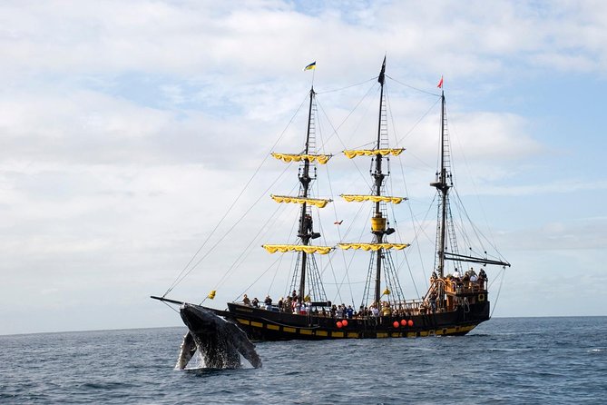 Whale-Watching Pirate Ship Cruise in Los Cabos - Cabo’s Arch, Lover’s Beach, and the Sea Lion Colony