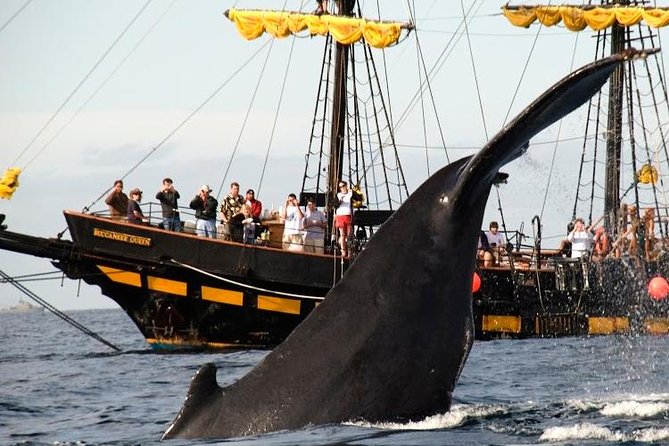 Whale-Watching Pirate Ship Cruise in Los Cabos - Breakfast, Drinks, and the Onboard Mood