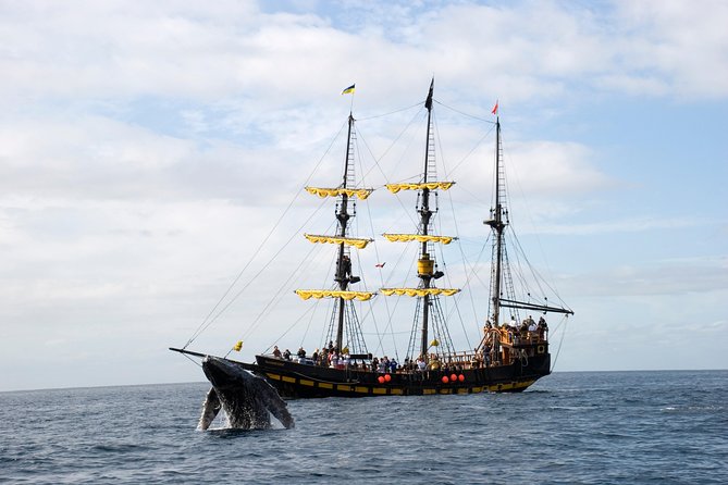 Whale-Watching Pirate Ship Cruise in Los Cabos - Is the Pirate Theme Right for Your Group?