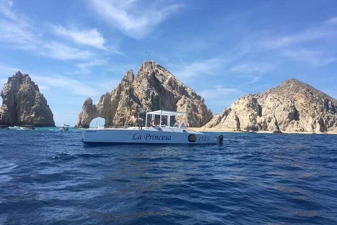 Whale Watching Tour in Los Cabos - Whale season on the southern Baja coast