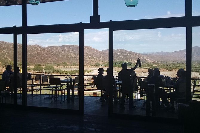wine tours and driver service through valle de guadalupe, Ensenada B.C. Mexico - Cruise-port planning without the cruise-line excursion