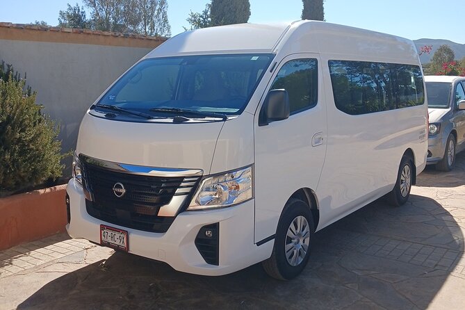 wine tours and driver service through valle de guadalupe, Ensenada B.C. Mexico - Who will like this service most