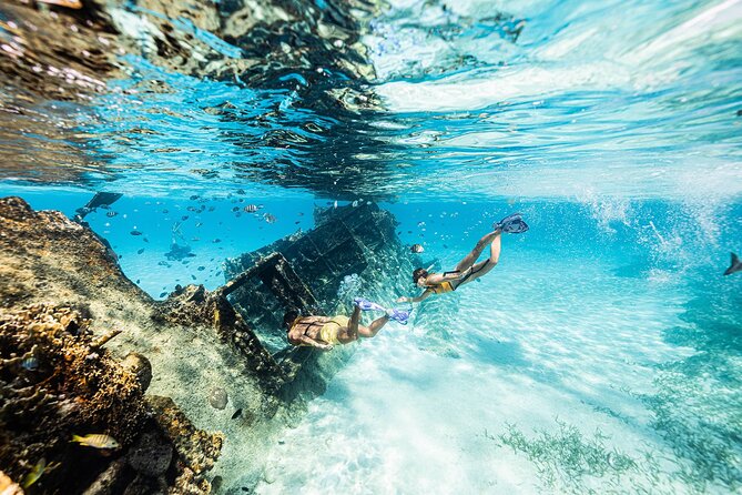 With Turtles, Shipwreck, Cenote, and Reef and Transport Included - Reef water at 8 to 12 feet deep