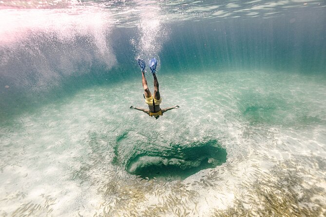 With Turtles, Shipwreck, Cenote, and Reef and Transport Included - Shipwrecks, statues, and a cenote