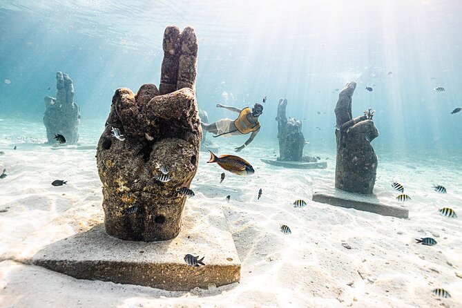 With Turtles, Shipwreck, Cenote, and Reef and Transport Included - What the $79 price really includes