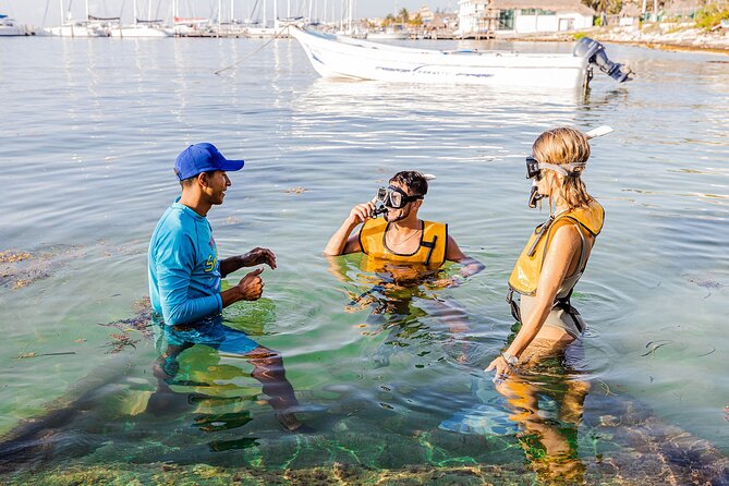 With Turtles, Shipwreck, Cenote, and Reef and Transport Included - Shallow-water practice for first-time snorkelers